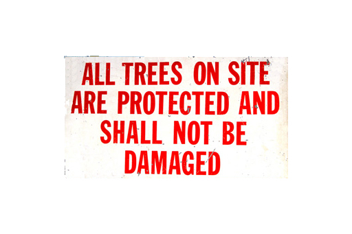 ALL TREES ON SITE ARE PROTECTED