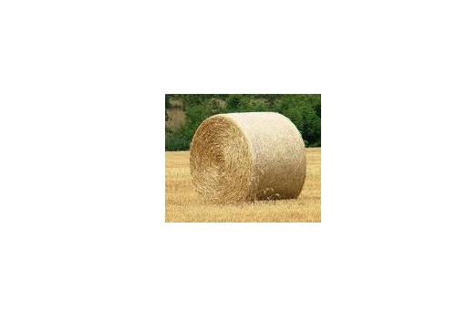 STRAW BALE
